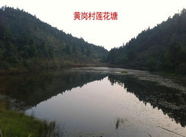 KY开元集团官网