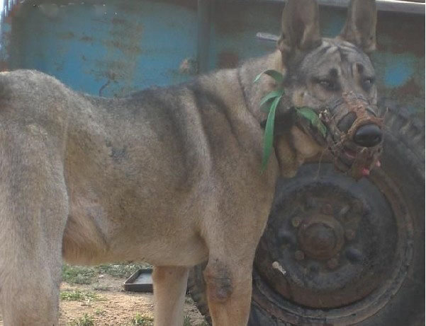 KY开元集团官网