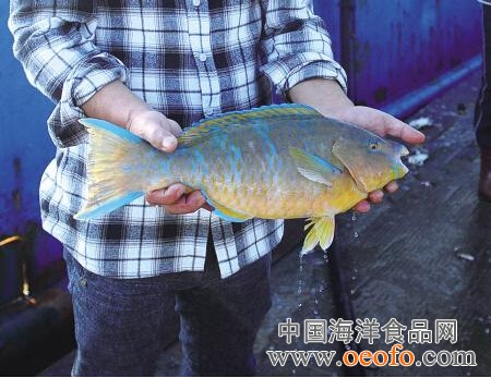 ky开元集团官网入口