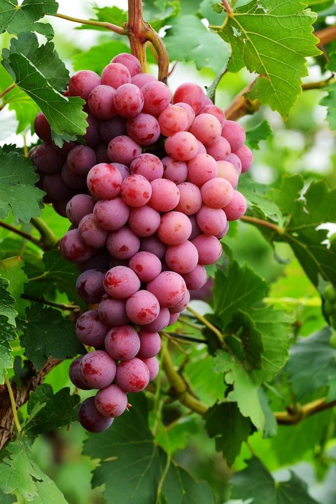 ‘ky开元集团官网入口’《沉没之城》2月27日登录Switch港服eshop(图2) ky开元