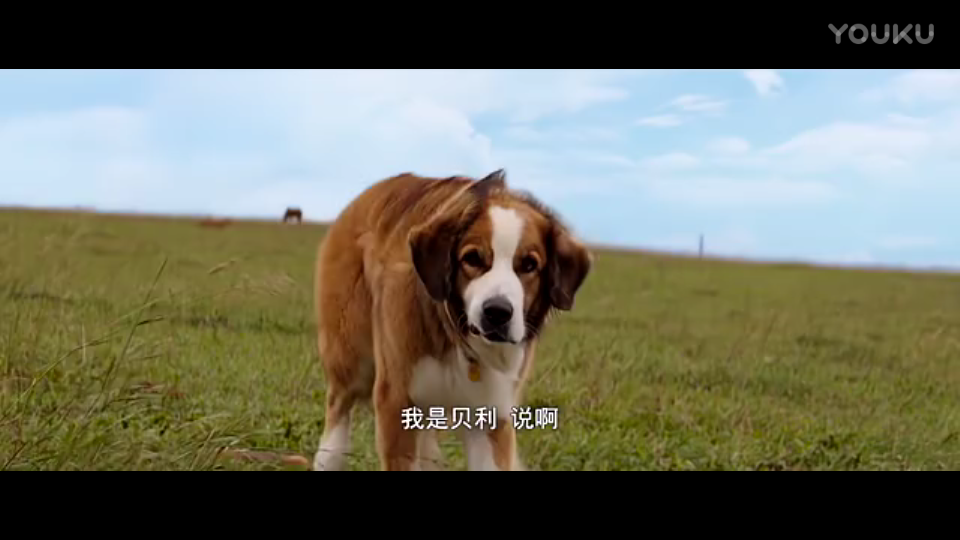 KY开元集团官网|旺客奶茶拥有数十家直营店和数百家加盟店(图2) ky开元集团官网入口