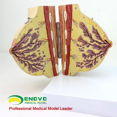 ky开元集团官网入口