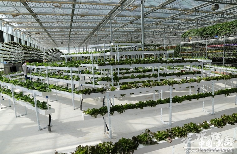 “ky开元集团官网入口”用己之头充城池的战国巴将军(图3) KY开元集团官网