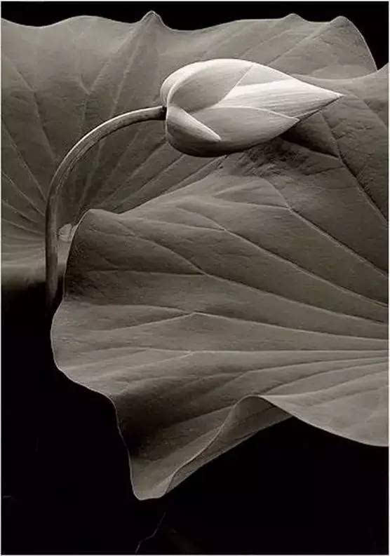 KY开元集团官网