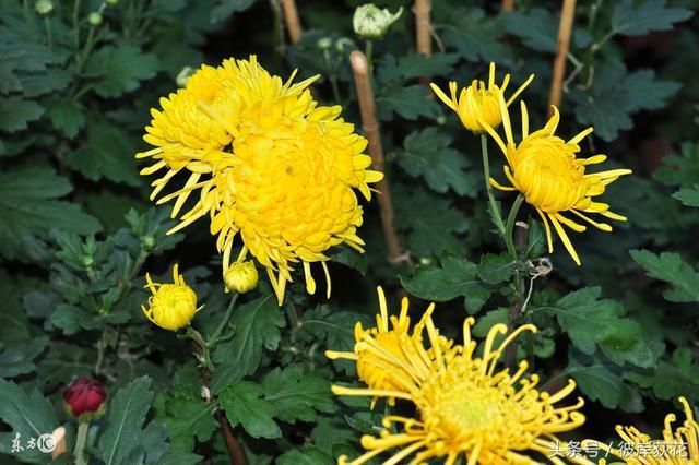 今春我国北方沙尘天气次数偏少强度偏弱【ky开元集团官网入口】(图4) KY开元集团官网