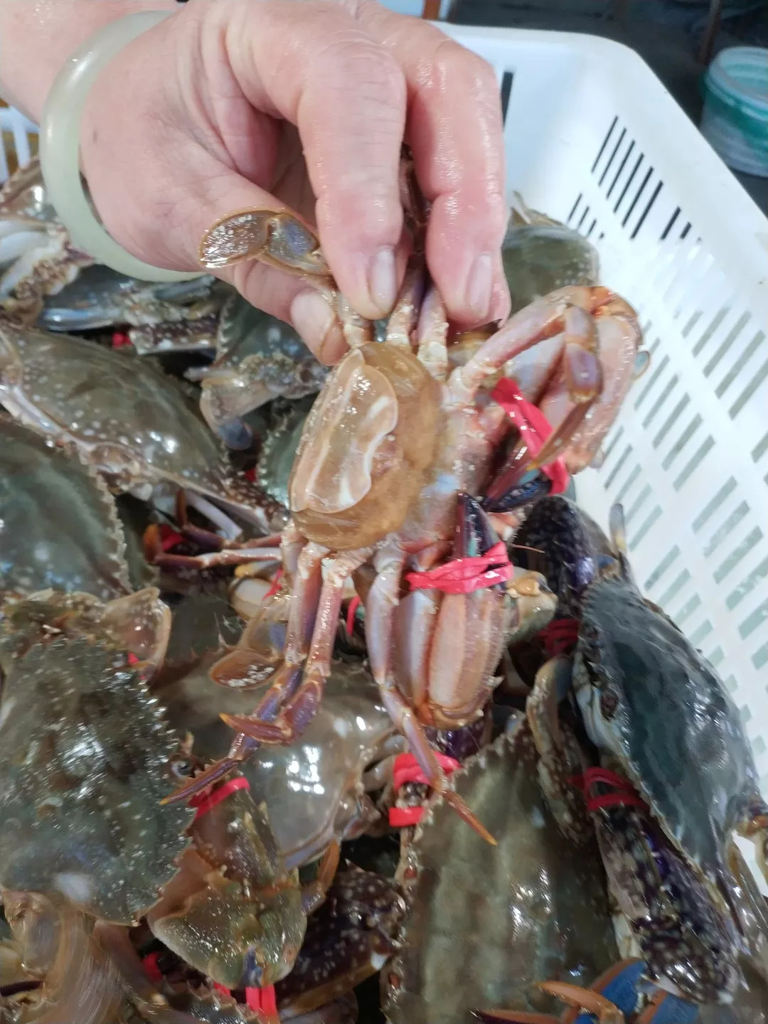 ky开元集团官网入口