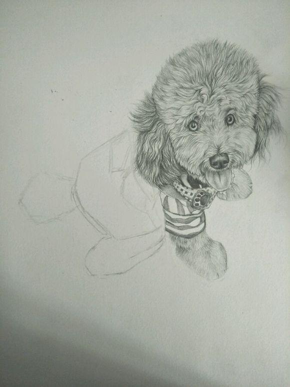 KY开元集团官网