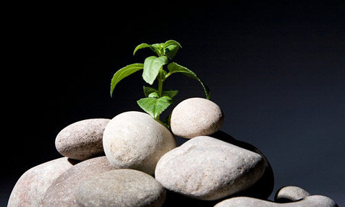 ky开元集团官网入口