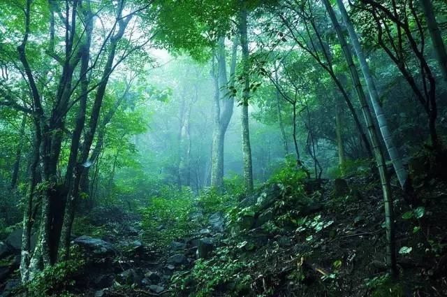 ky开元集团官网入口